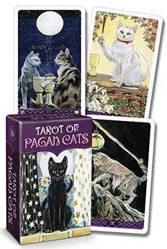 Tarot Gatos Paganos